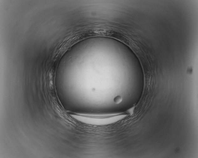 X0000116371106200912161431