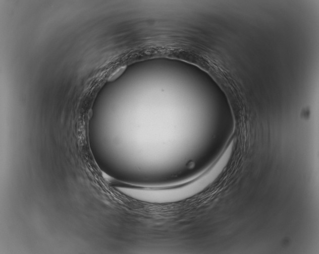 X0000116371109200912161431