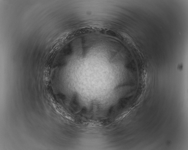 X0000116371110200912161431