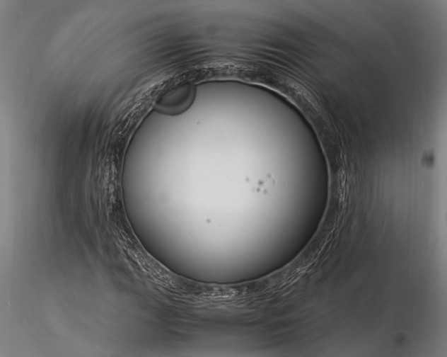 X0000116371111200912161431