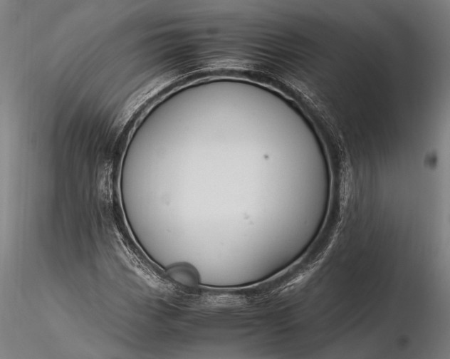 X0000116371113200912161432