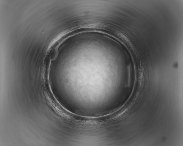 X0000116371114200912161432