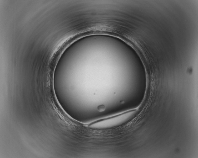 X0000116371115200912161432