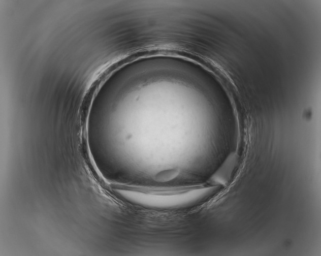 X0000116371117200912161432