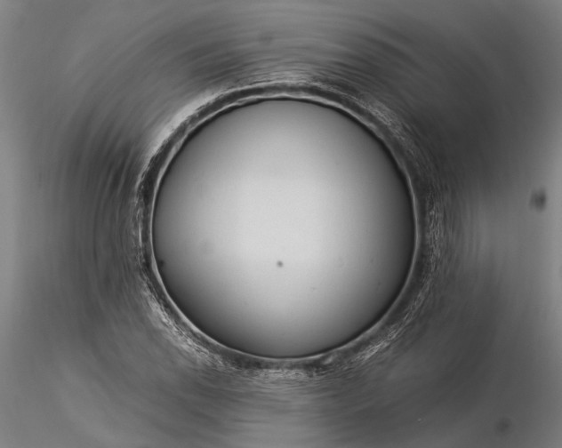 X0000116371118200912161432