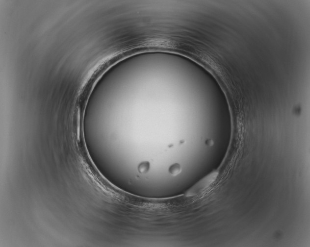 X0000116371123200912161432