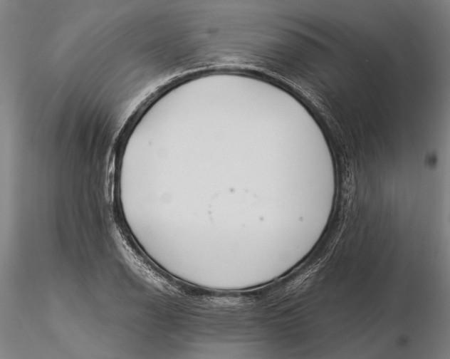 X0000116371126200912161432