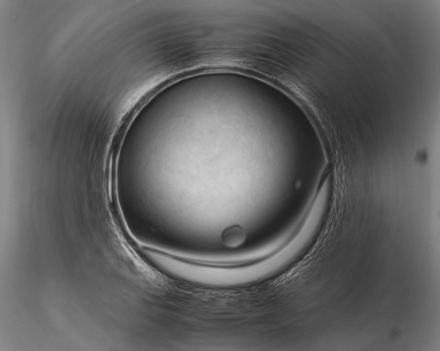 X0000116371127200912161432