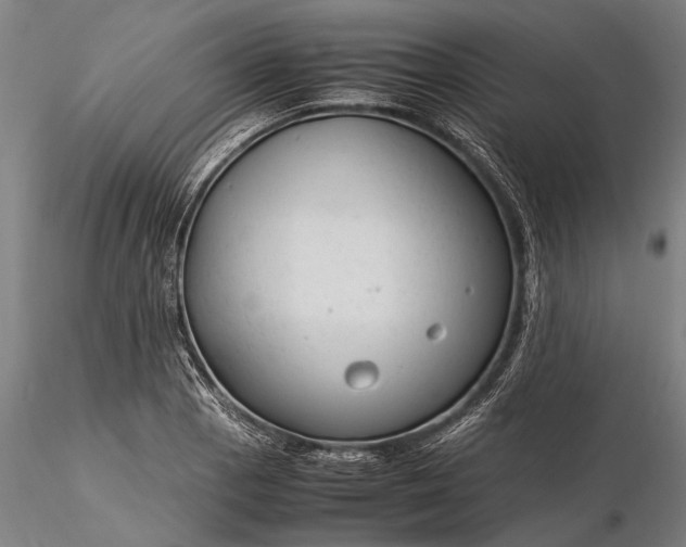 X0000116371129200912161432