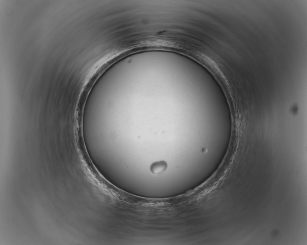 X0000116371133200912161432