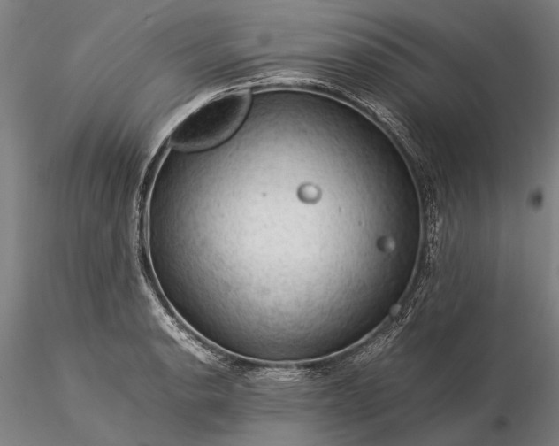 X0000116371134200912161432