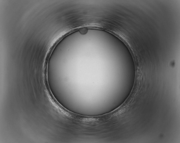 X0000116371135200912161432