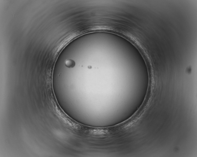 X0000116371137200912161432