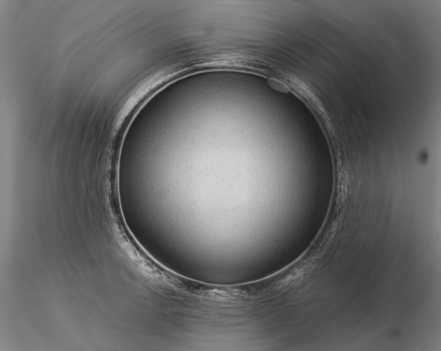 X0000116371138200912161432