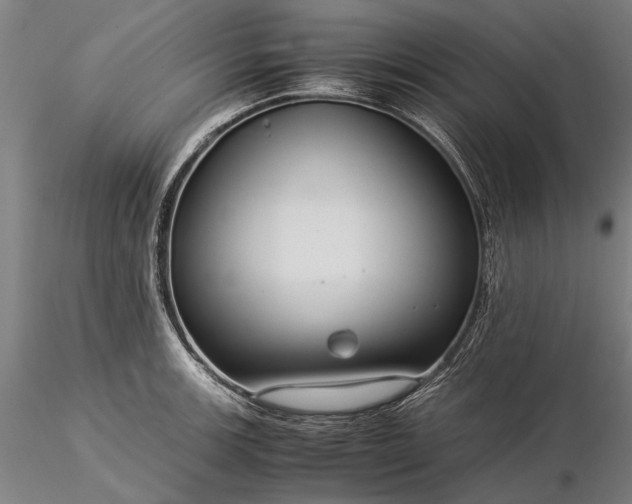 X0000116371139200912161432