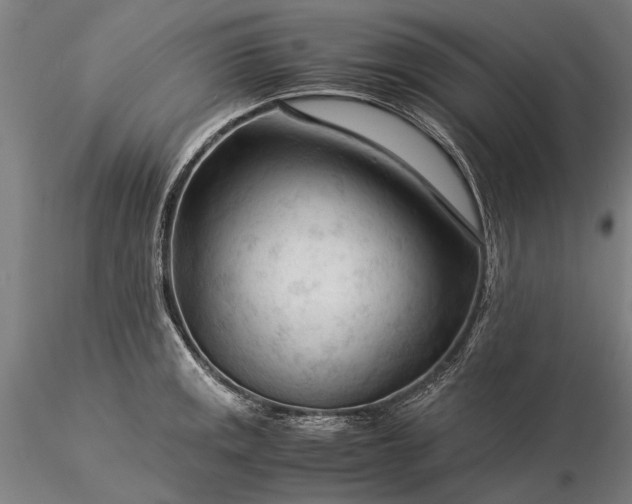 X0000116371141200912161432