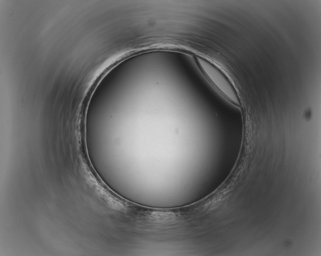 X0000116371142200912161432