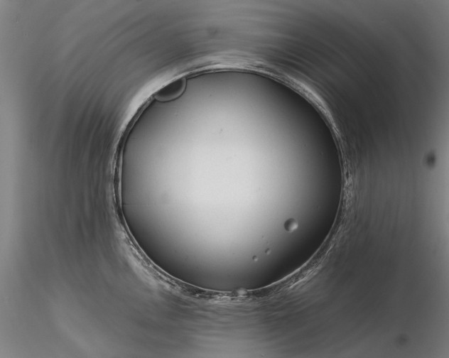 X0000116371146200912161432