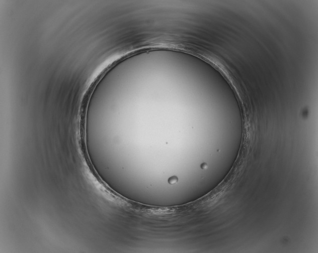 X0000116371147200912161432