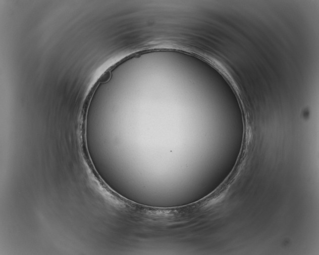 X0000116371149200912161432