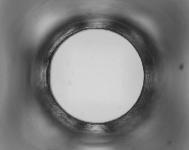 X0000116371150200912161432