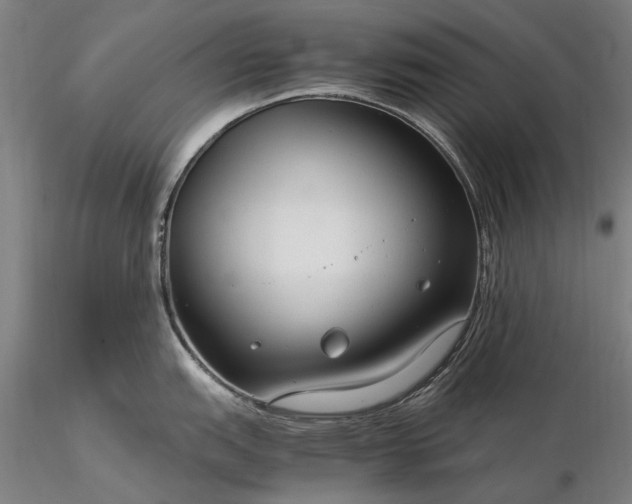 X0000116371151200912161432