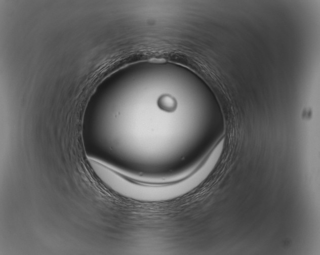 X0000116371153200912161431