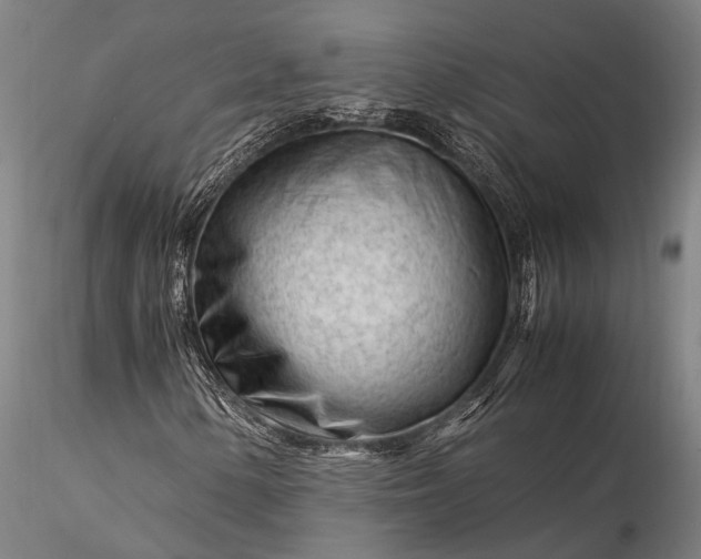 X0000116371154200912161431