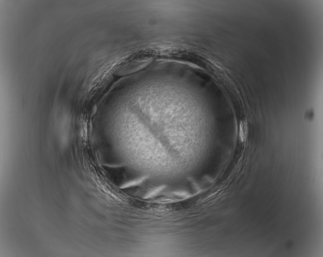 X0000116371155200912161431