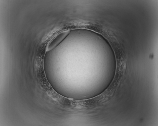 X0000116371157200912161431