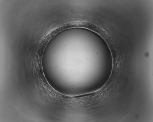 X0000116371158200912161431