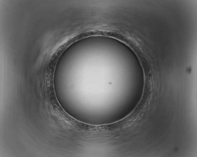 X0000116371159200912161431