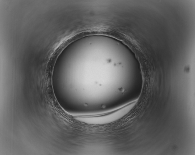 X0000116371160200912161431