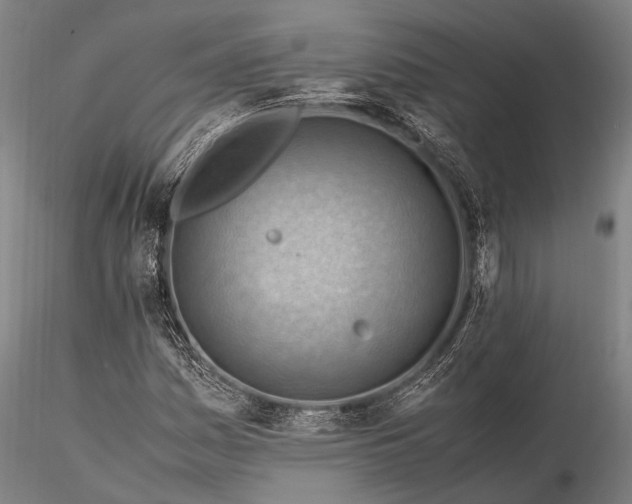 X0000116371161200912161431