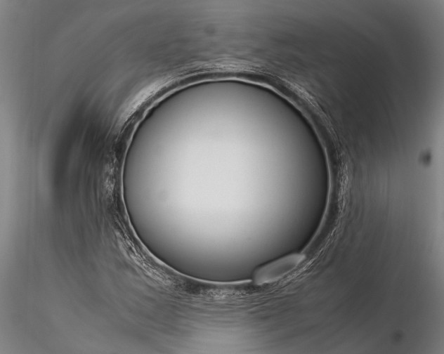 X0000116371163200912161431