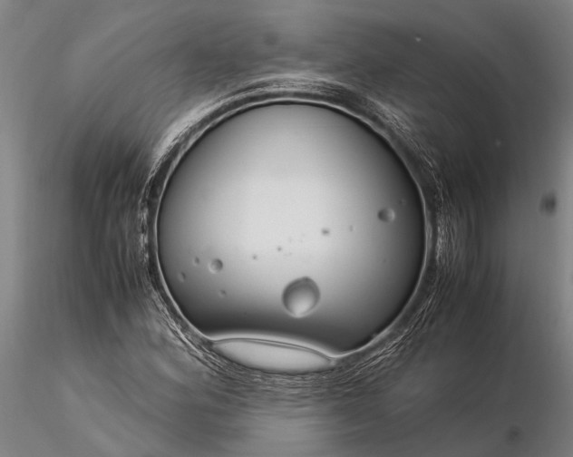 X0000116371164200912161431