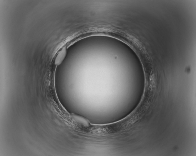 X0000116371165200912161431