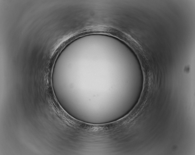 X0000116371166200912161431