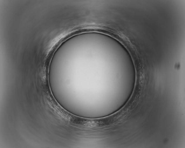 X0000116371167200912161431