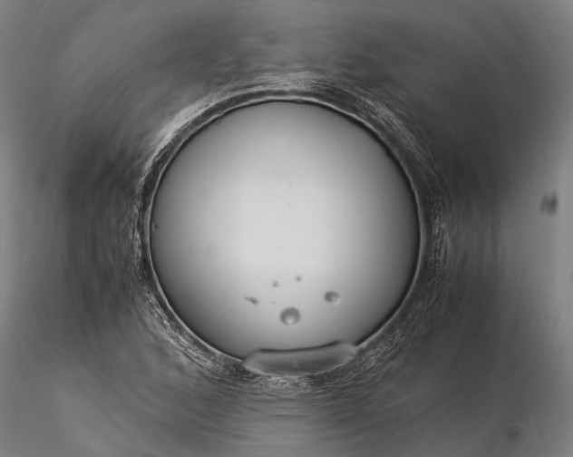 X0000116371168200912161431