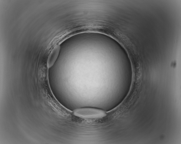 X0000116371169200912161431