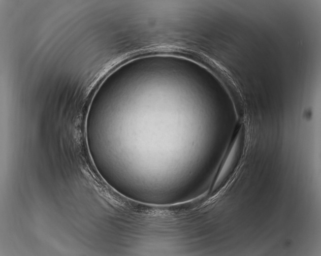 X0000116371170200912161431