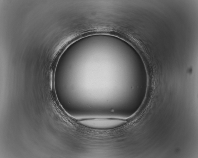 X0000116371171200912161431