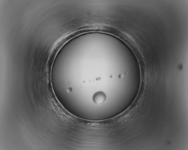 X0000116371172200912161431