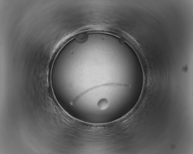 X0000116371174200912161431