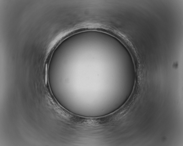 X0000116371175200912161431