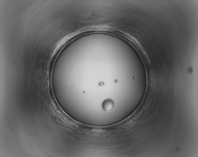 X0000116371176200912161431