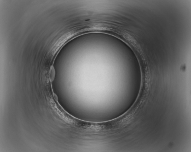 X0000116371177200912161431