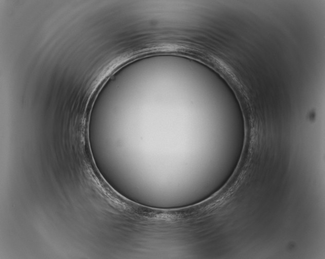 X0000116371178200912161431