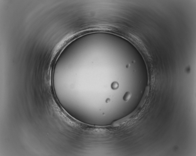 X0000116371180200912161431